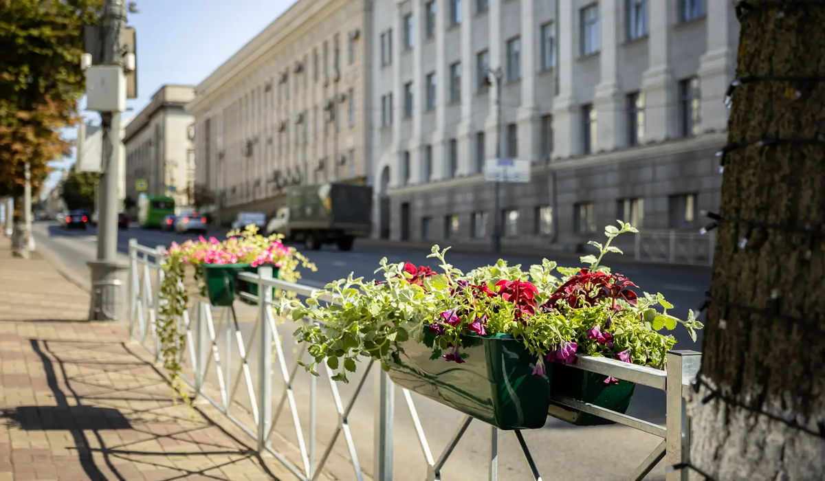 В Курске на улице Ленина установили термочаши с цветами