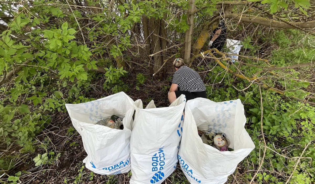 В Курской области очищено 62 км берегов в рамках акции «Вода России»