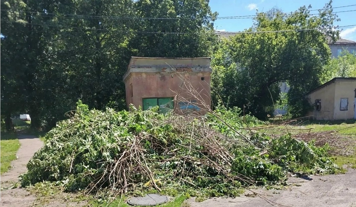 В ж/д округе Курска убрали 16 кубов древесных остатков