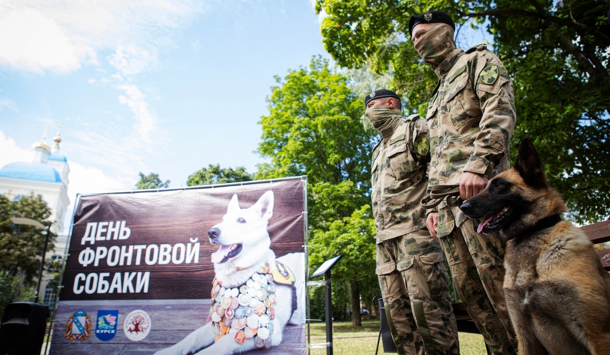 В Курске почтили память фронтовых собак и показали работу кинологов
