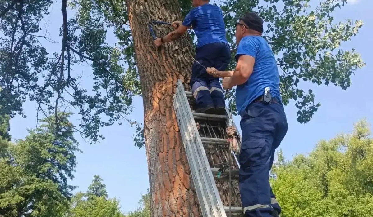 В Курске демонтировали опасные вышки для прыжков в воду