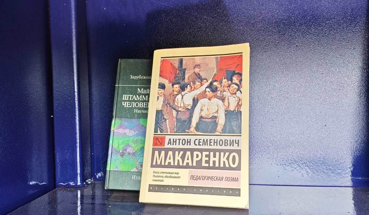 В Курске книжные шкафы пополнились новыми книгами