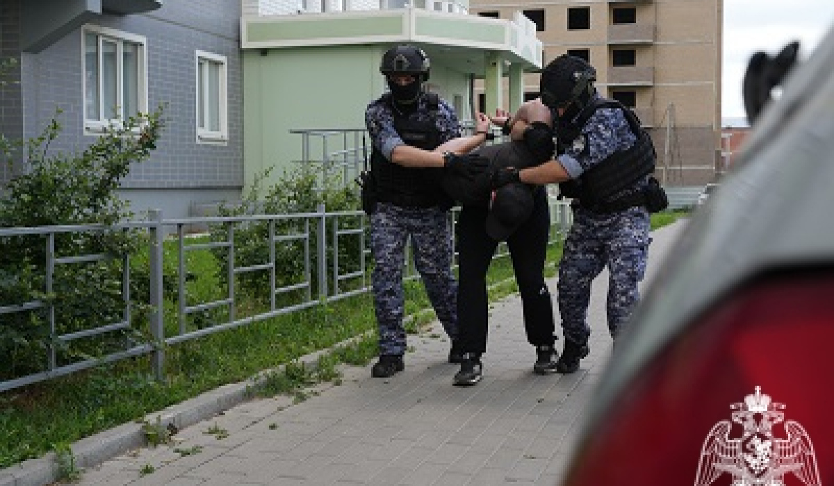 В Курске росгвардейцы задержали мужчину, находившегося в федеральном розыске