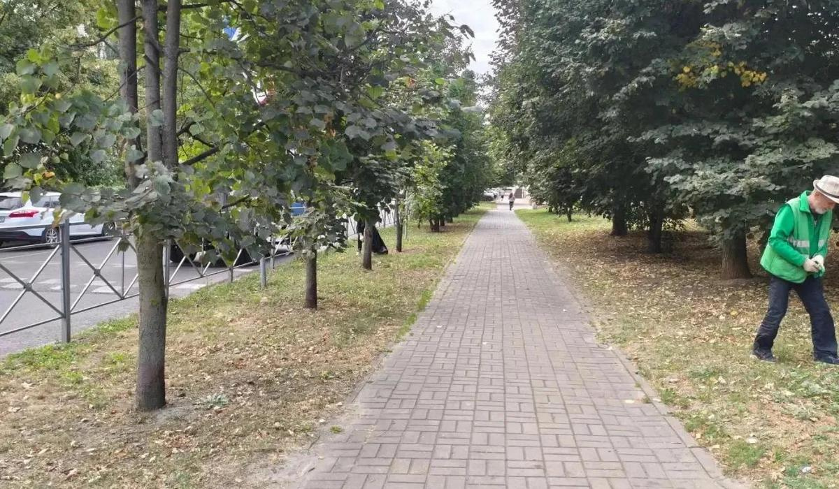 Более 70 тонн мусора вывезли из парков и скверов Курска за неделю