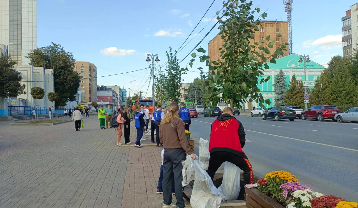В Курске на улице Ленина высадили 16 лип