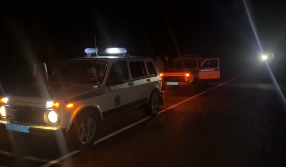 В Железногорске полицейские спасли заблудившуюся в лесу пенсионерку с грибами