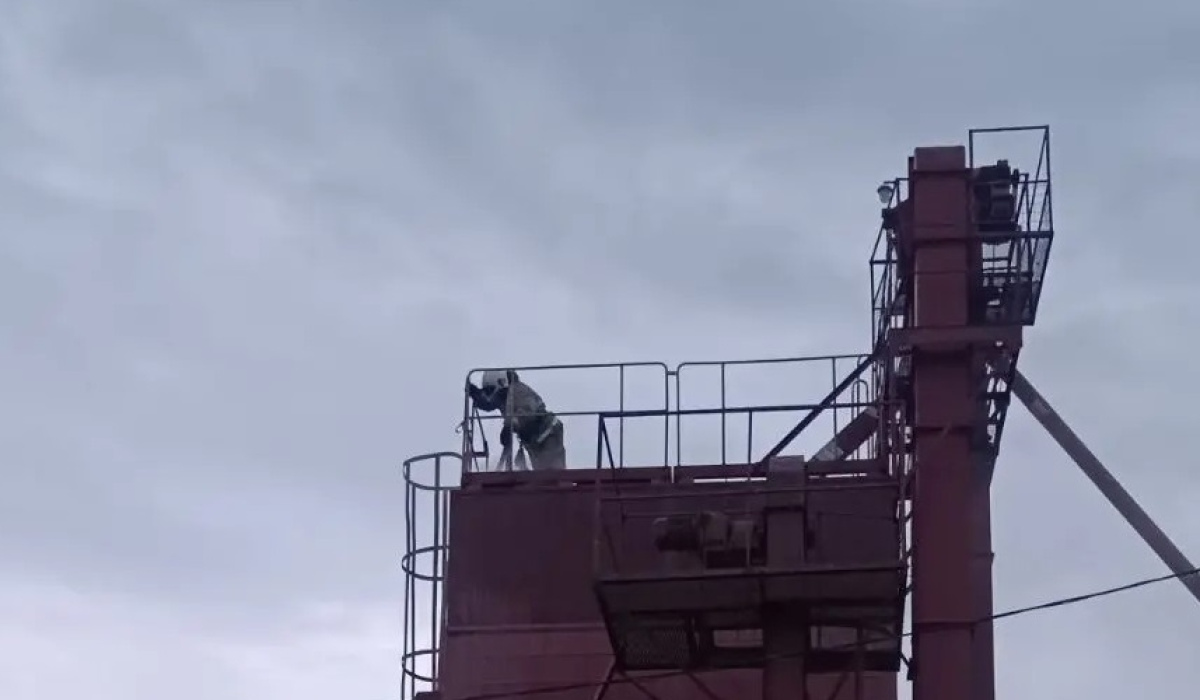 В Курской области сгорели семена подсолнечника в зерносушилке
