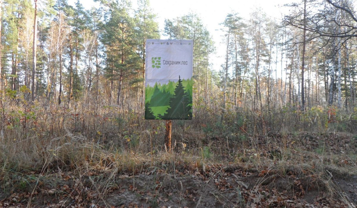 В Курской области высадили 420 сеянцев деревьев в ходе акции «Сохраним лес»