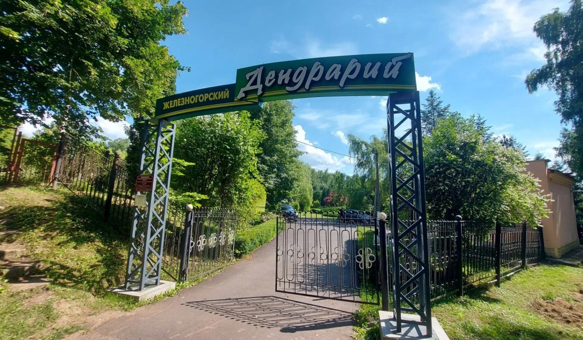 В Железногорске Курской области дендрарий закрыли для экскурсий