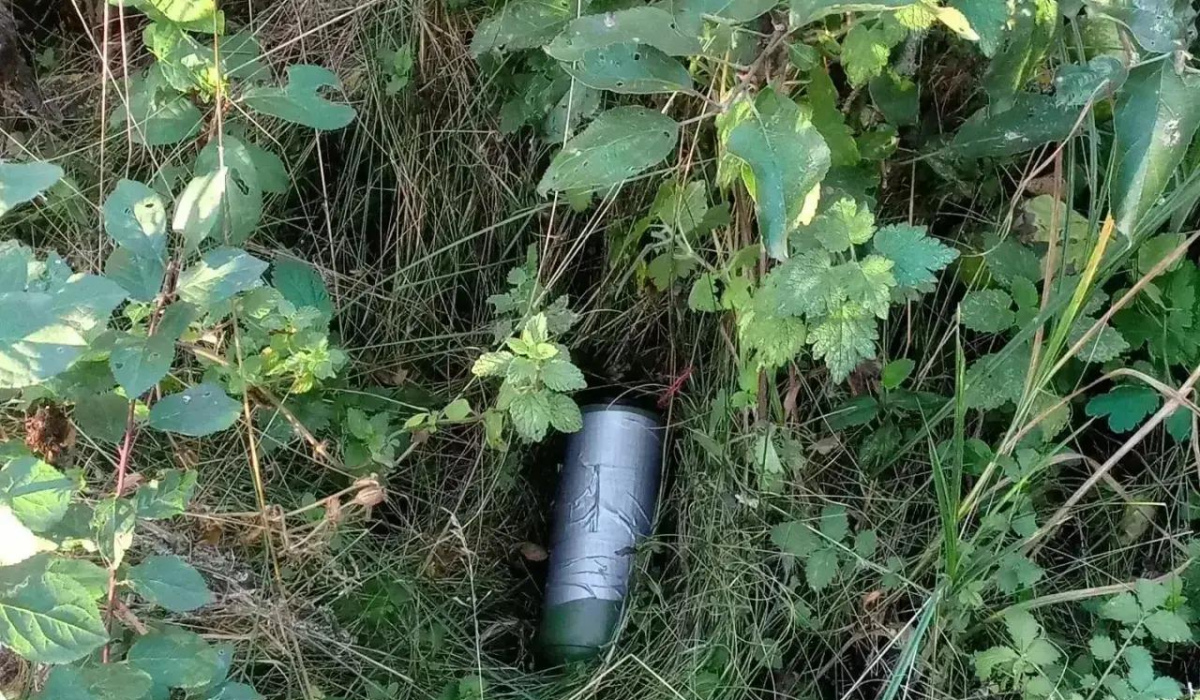 В курском приграничье за неделю от боеприпасов очистили 238 га территории