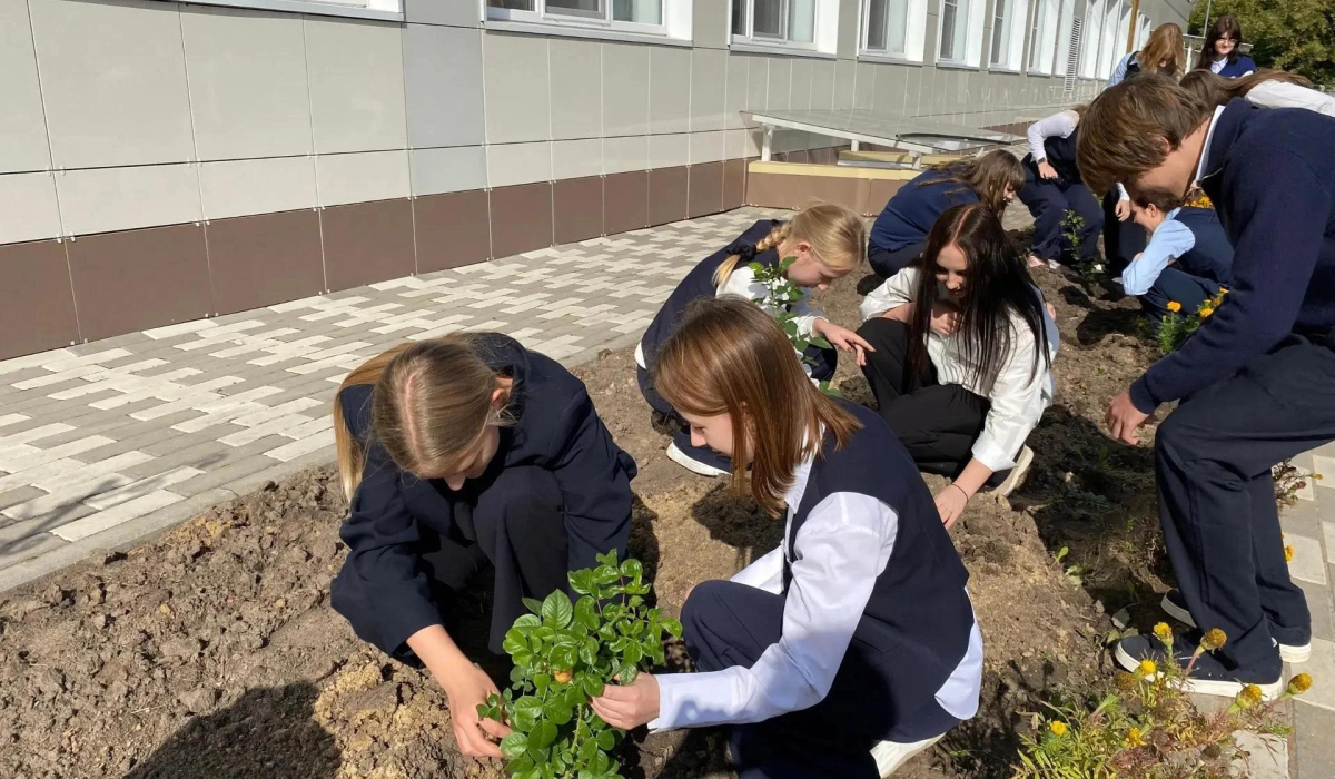 В Курске у гимназии № 63 высадили Аллею роз
