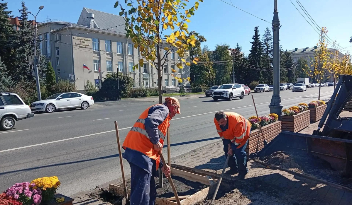 В Курске продолжается высадка лип на улице Ленина