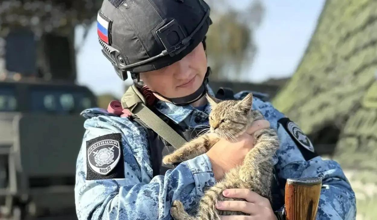 В Курской области на посту полиции поселился кот Тигр
