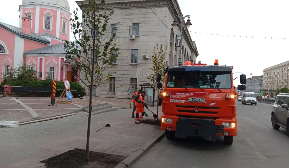 В Курске на улице Ленина высадили 18 новых молодых деревьев лип