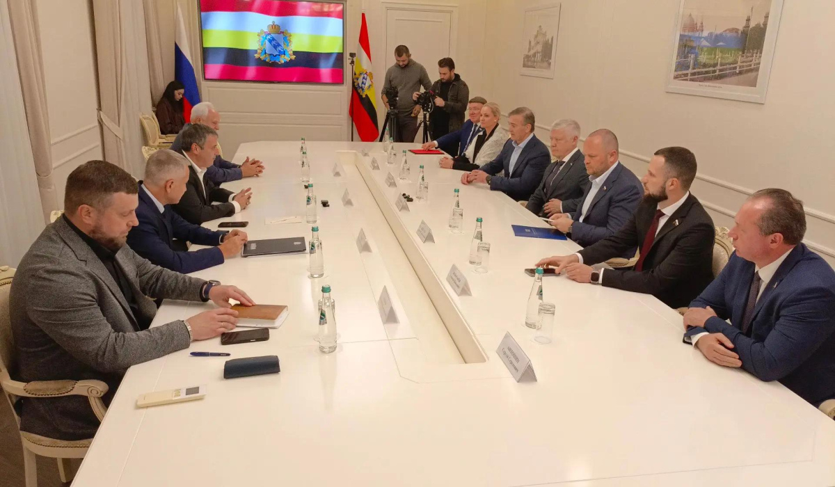 Хинштейн встретился с депутатами Госдумы и сенаторами от Курской области