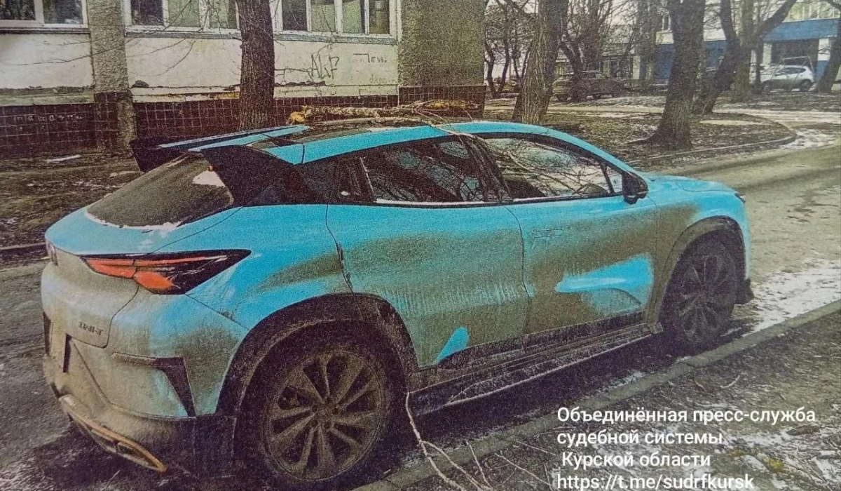 В Курской области суд взыскал с лицея 351 тысячу за упавшую на машину ветку